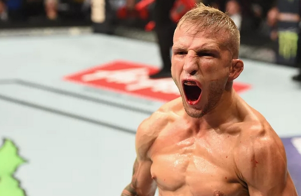 T.J. Dillashaw ufc vykon