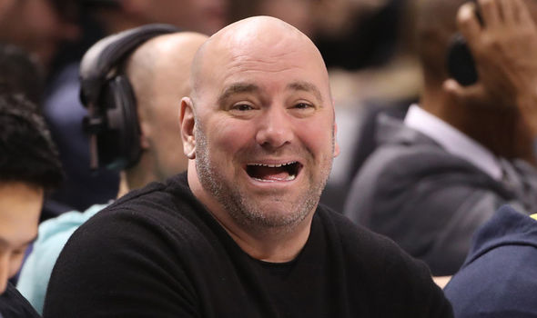 dana white smich