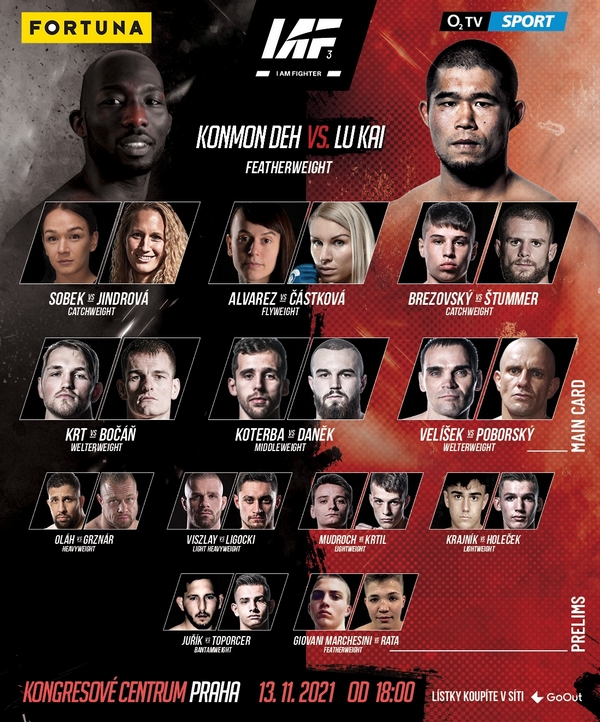 fight card i am fighter 3
