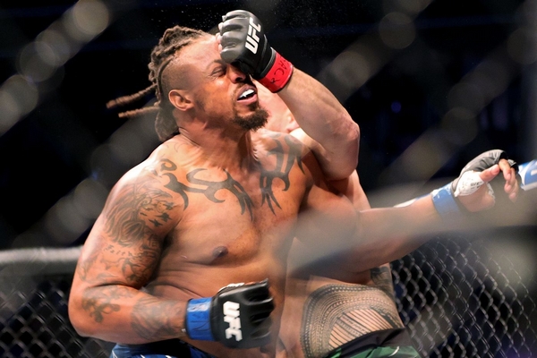 greg hardy bkfc fight greg hardy bkfc fight