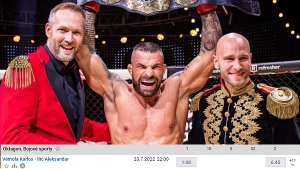 novotny vemola ilic vegh novotny vemola ilic vegh