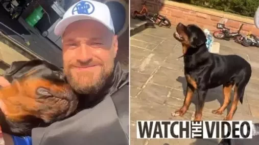 Hlídací pes za více než půl milionu! Tyson Fury na ochraně své rodiny vůbec nešetří