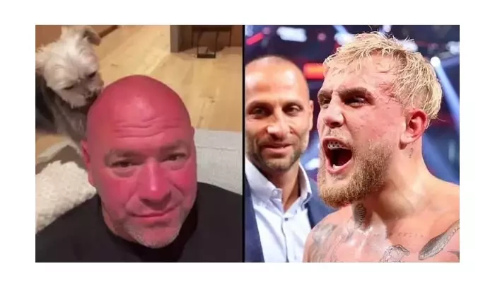 Dana White mě moc chce v UFC, i když to veřejně nepřizná, práskl Jake Paul