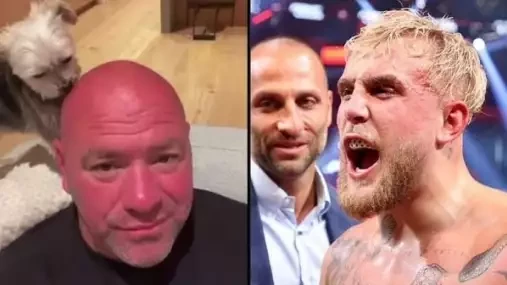 Dana White: Nemám Jakea Paula rád, ale pokud jde se Silvou, tak to klobouk dolů