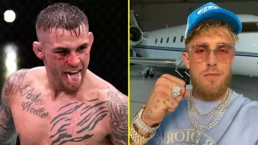 Poirier: Můj příští zápas v UFC bude o titul, ale hned potom chci boxovat s oběma bratry Pauly