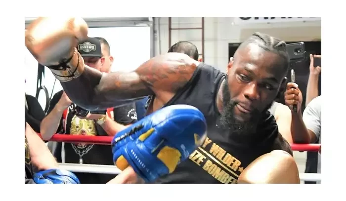 Wilder: Všechny své sparingy jsem poslal na žíněnku, Furyho nečeká nic příjemného