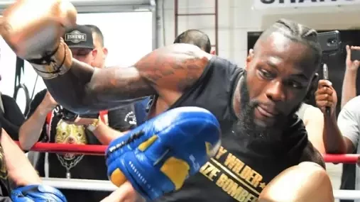 Wilder: Všechny své sparingy jsem poslal na žíněnku, Furyho nečeká nic příjemného