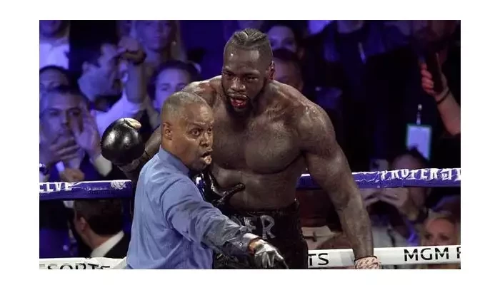 Wilder je skvělý boxer! tvrdí parťák z tréninku. Tohle je taktika, kterou má použít proti Furymu