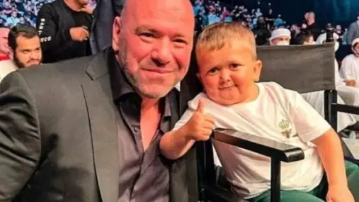 Hasbulla odhalil, jakou roli bude zastávat na UFC v Abú Dhabí