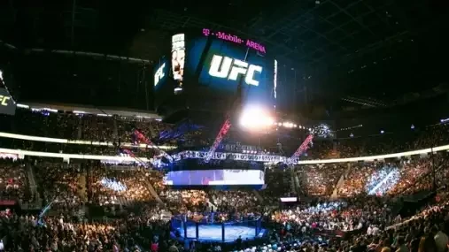 Fanoušci mají jasno! Tito tři UFC šampioni do konce roku ztratí titul