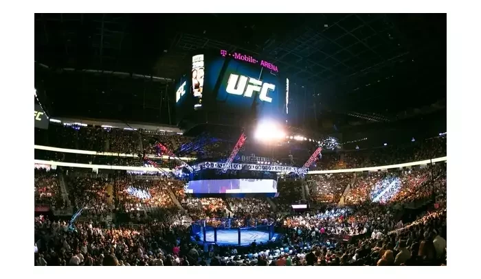 Fanoušci mají jasno! Tito tři UFC šampioni do konce roku ztratí titul