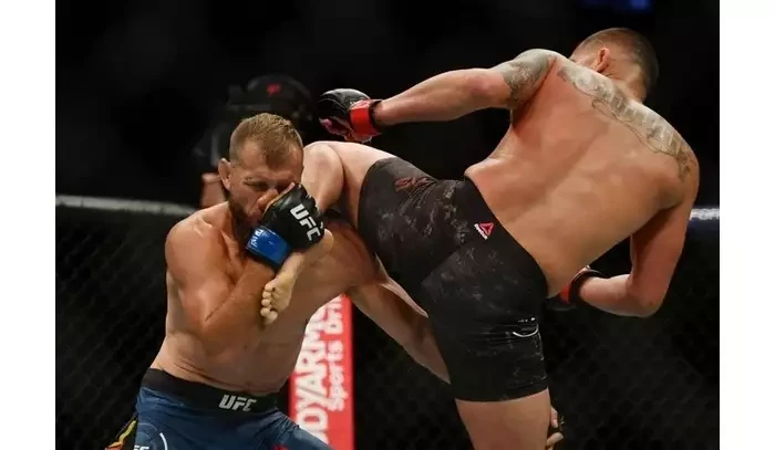 UFC Fight Night: Donald Cerrone vs. Alex Morono, analýza