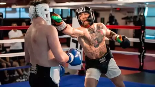 Paulie Malignaggi láká Conora k souboji „holých kloubů“: Jsi svině a víš, že bys dostal