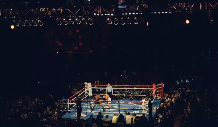 Strategie sázení na MMA a jak vybrat toho správného bojovníka