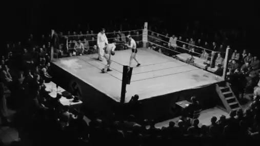 Box v česku | Jak šel čas s českým boxem a top sportovci oboru