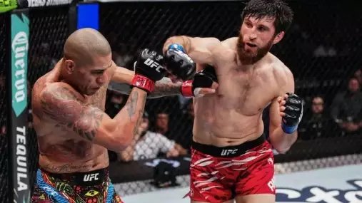 Polotěžká váha UFC se teď dlouho nepohne, Ankalaev nemá konkurenci, myslí si UFC veterán