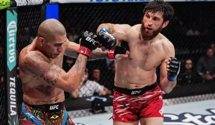 Polotěžká váha UFC se teď dlouho nepohne, Ankalaev nemá konkurenci, myslí si UFC veterán