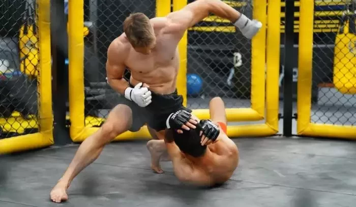 Sázení na zápasy: Jak správně předpovídat MMA a další bojové sporty?