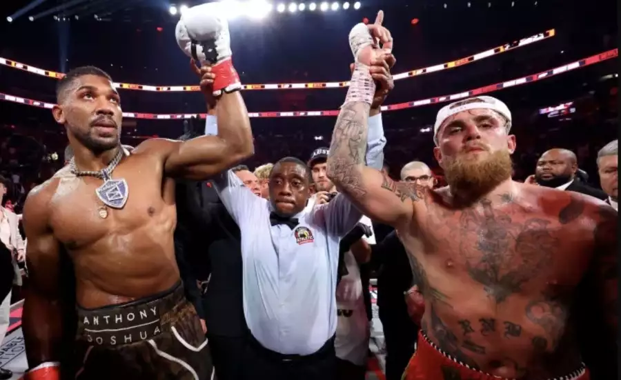 Kolik dnes vydělali Joshua a Jake Paul?