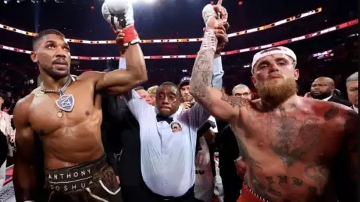 Kolik dnes vydělali Joshua a Jake Paul?