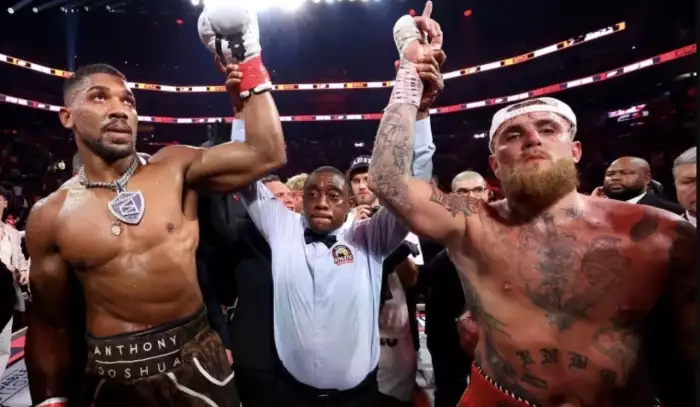 Kolik dnes vydělali Joshua a Jake Paul?