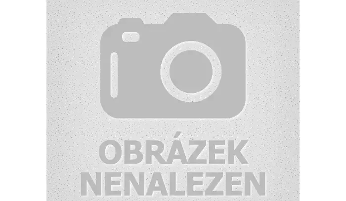 Tak to je pecka! Joshua má domluvený zápas jak s Whytem, tak i Wilderem