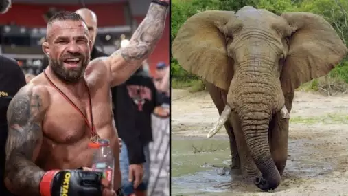 Sen o slonovi a účty za půl milionu. Tohle je skutečný život Karlose Vémoly
