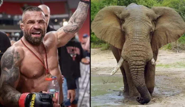 Sen o slonovi a účty za půl milionu. Tohle je skutečný život Karlose Vémoly