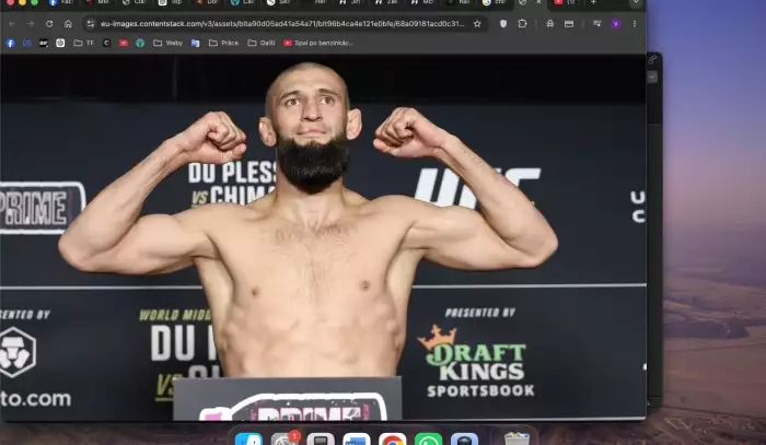 Zelená žluč, kolaps a milion pro soupeře. Dillashaw odhalil děsivé shazování Chimaeva