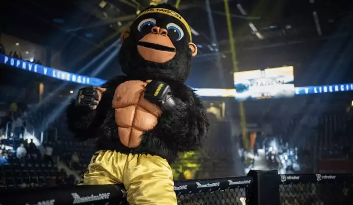 OKTAGON míří do více než 150 zemí. Uzavřel globální dohodu s DAZN